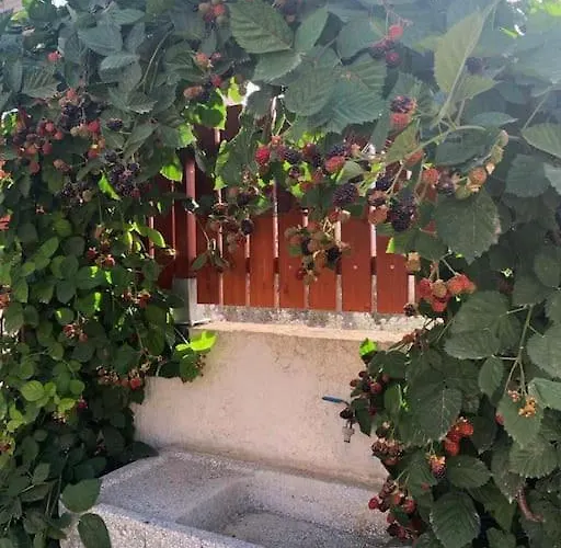 Apartmán To Ble Kuenstlersteinhaus Mit Garten Barrierefrei Tirnavos